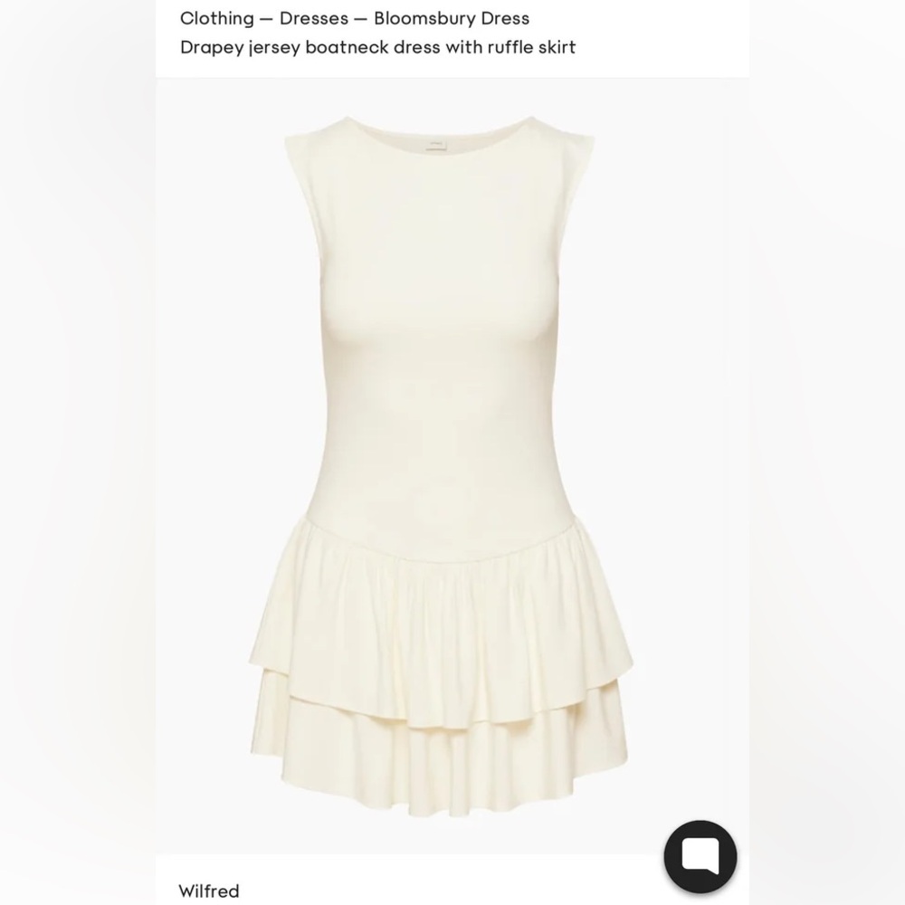 Aritzia Bloomsbury Dress